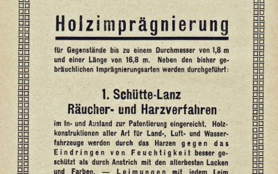 Anzeige aus dem Buch – Holzverwertung und Holzhandel 1918