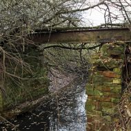 Verwilderte Brücke der alten Erdkotz